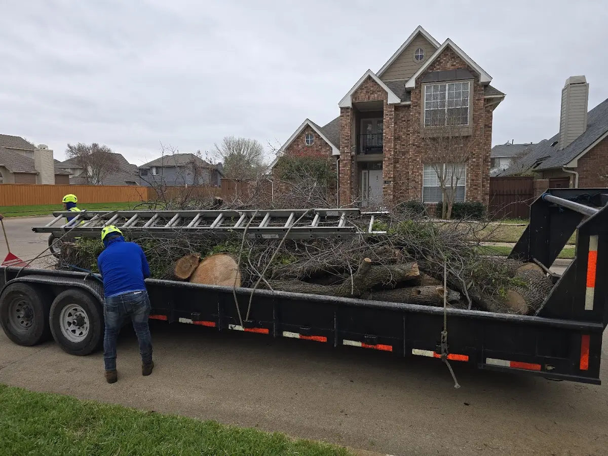 Expert Lot Clearing with proper safety equipment in Keyser